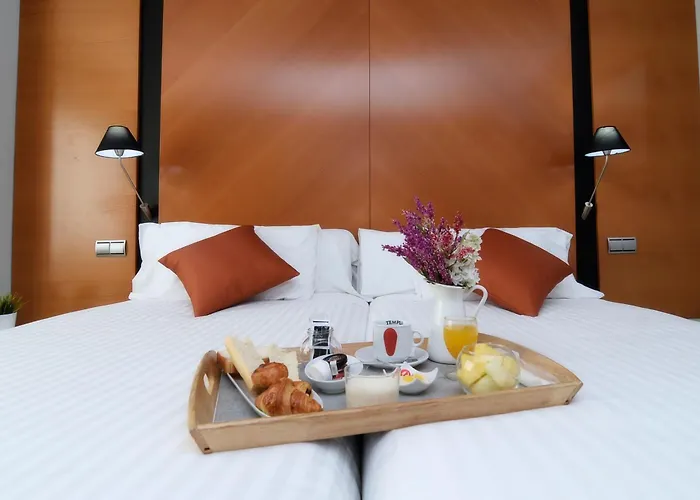 Silken Juan De Austria 4* 바야돌리드